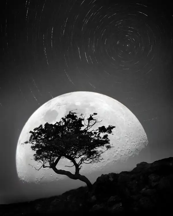 Dancing with the moonlight night