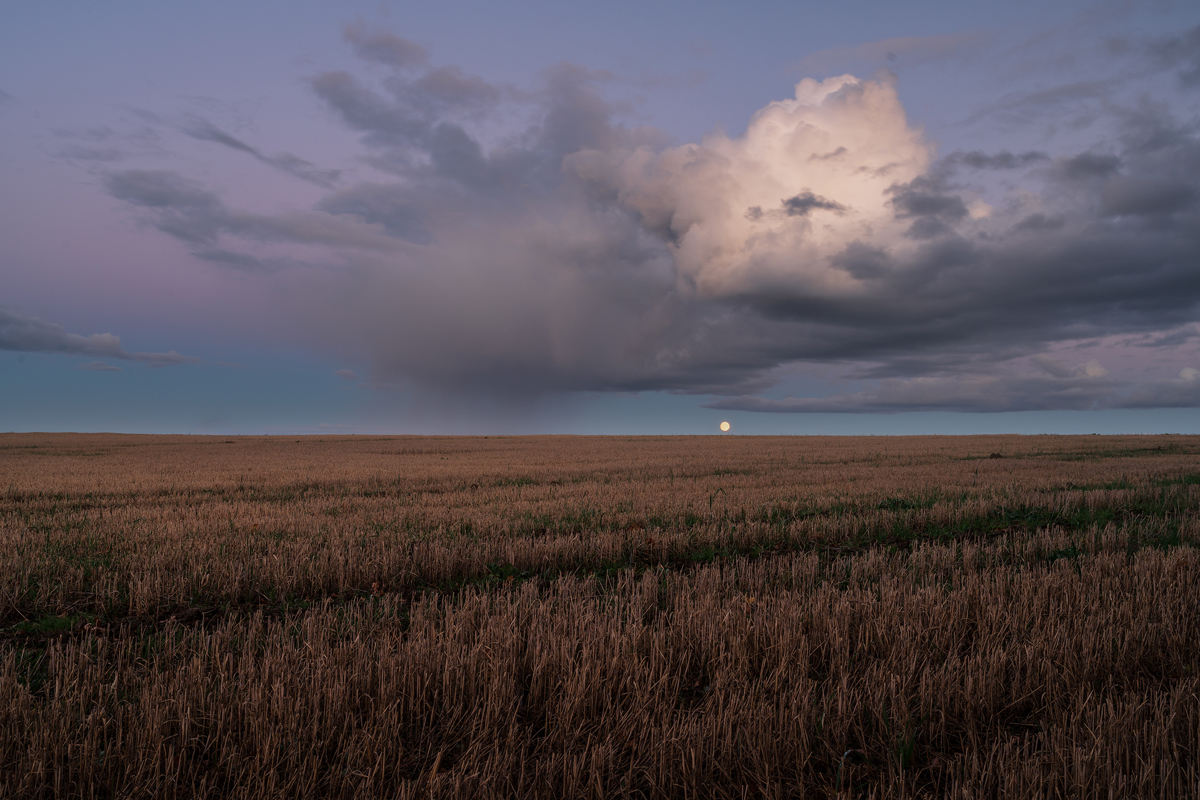 In Harrogate's Crimple Valley, an expansive field of stubble stretches to the horizon under a twilight sky. A full moon rises, small and bright, against gathering storm clouds which are tinged with a soft pink glow from the sun's last light. a field of grass with a sunset in the background