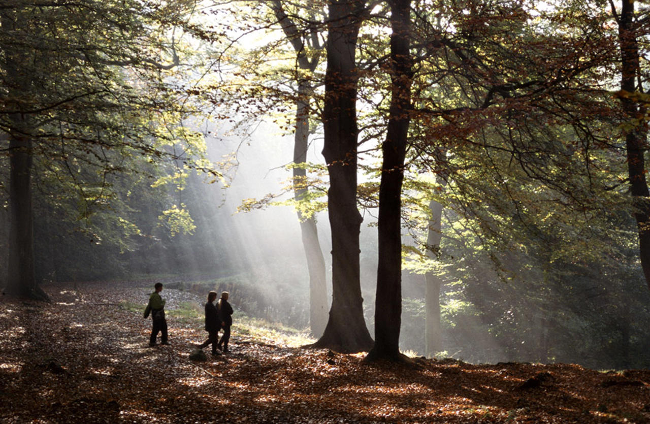 Autumn walk