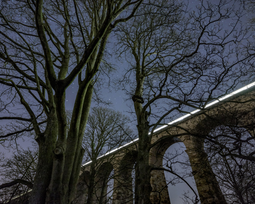 Nightscapes: A night-time scene in Crimple Valley; bare trees in the foreground frame the Crimple Valley Viaduct, where a train's lights create a bright white line across the dark structure. Stars speckle the clear sky above. a large tree in a forest