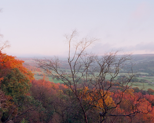 A Journey Through Ancient Woodland:  a view of a valley with trees and hills in the background