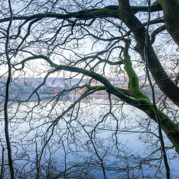 Whispers of winter's end