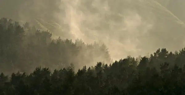 Ogden, after the storm