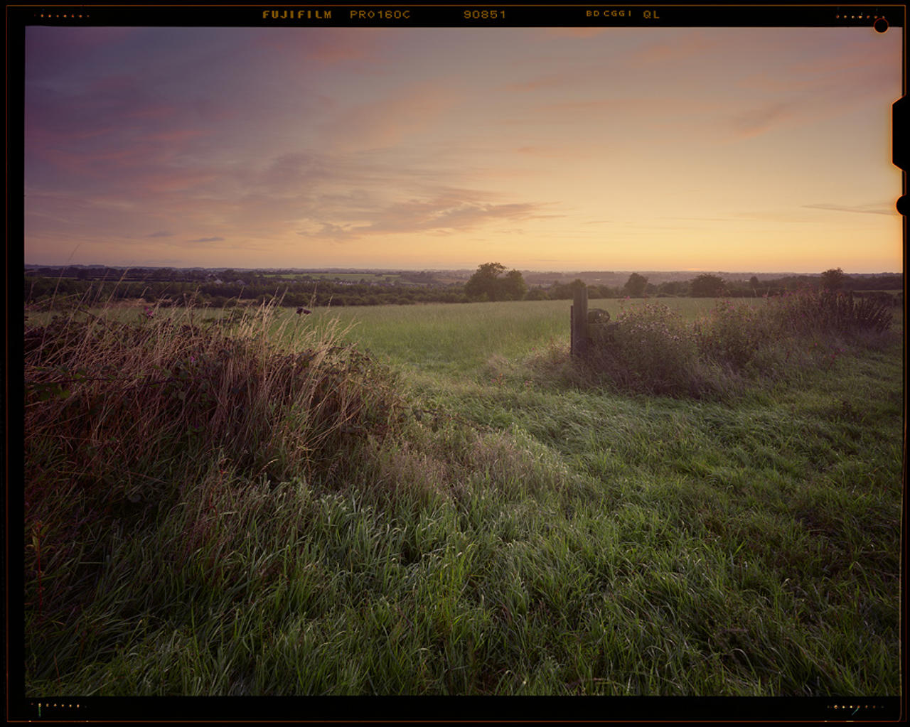 Through the fields