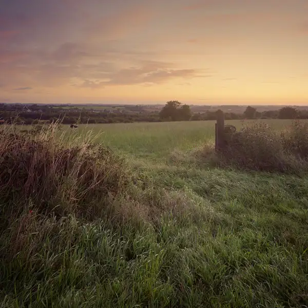 Through the fields