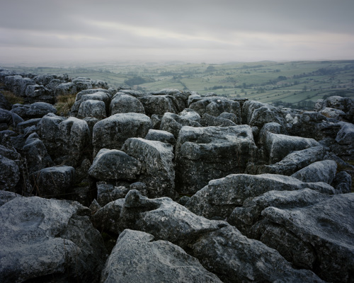 Yorkshire Dales: Limestone and Lone Trees:  a close up of a rock wall