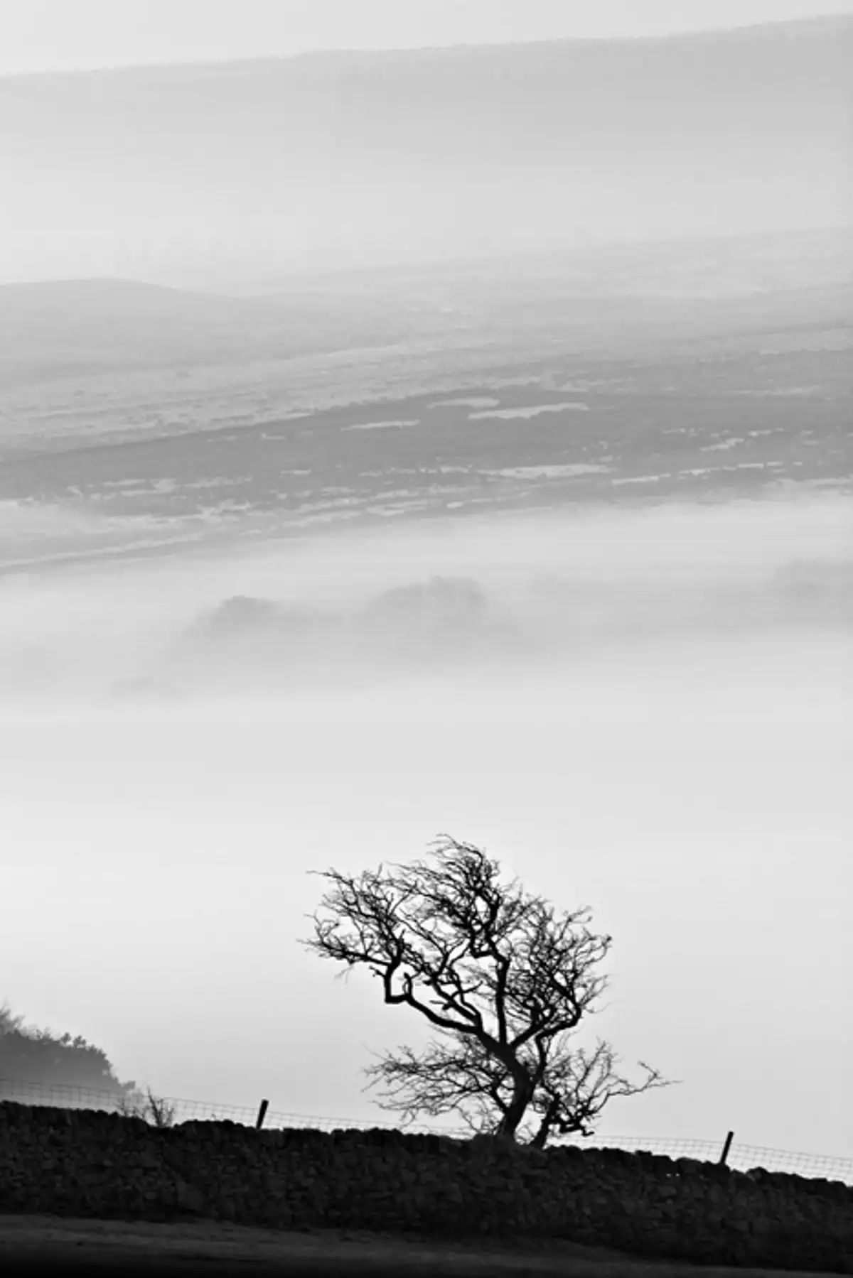Morning mist