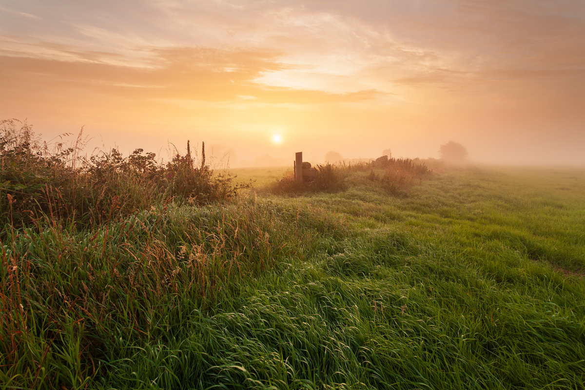 A serene dawn in Harrogate: the sun, a soft orb, rises in a misty, peach-toned sky. Lush green grass, dewy and vibrant, stretches into the distance. A simple wooden fence partially emerges from the fog, guiding the eye through the tranquil, hazy meadow. a grassy field with a building in the distance