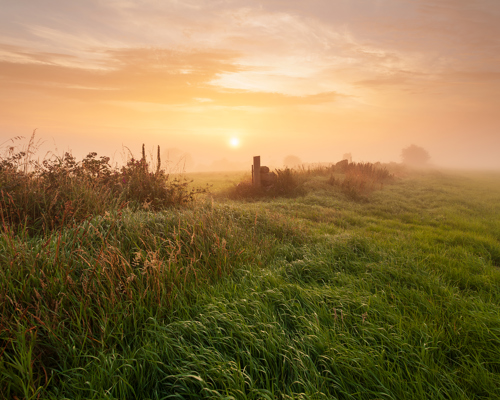 Harrogate Landscapes: A serene dawn in Harrogate: the sun, a soft orb, rises in a misty, peach-toned sky. Lush green grass, dewy and vibrant, stretches into the distance. A simple wooden fence partially emerges from the fog, guiding the eye through the tranquil, hazy meadow. a grassy field with a building in the distance