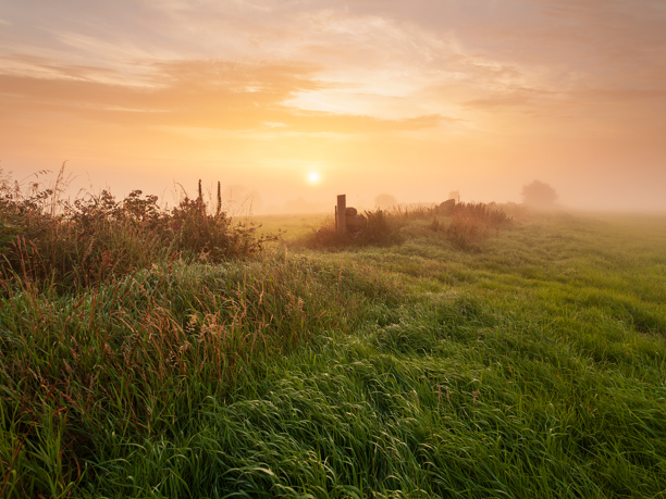 Harrogate Landscapes: A serene dawn in Harrogate: the sun, a soft orb, rises in a misty, peach-toned sky. Lush green grass, dewy and vibrant, stretches into the distance. A simple wooden fence partially emerges from the fog, guiding the eye through the tranquil, hazy meadow.