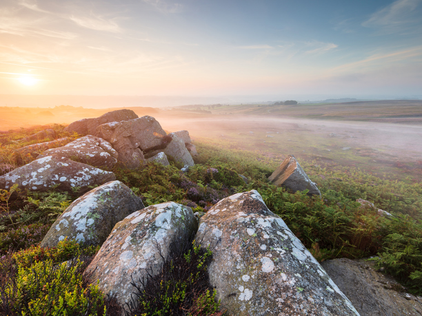 North Yorkshire's Wild Moorlands An intense sunrise bathes North Yorkshire moorland in soft light. Lichen-speckled rocks and heather streak the foreground, while a misty expanse stretches towards a hazy horizon.