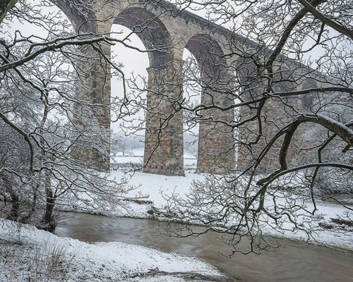 Crimple Valley Viaduct: A Marvel of Engineering and Beauty: Trees frame the Crimple Viaduct on a cold winter day  a tree with snow on the ground