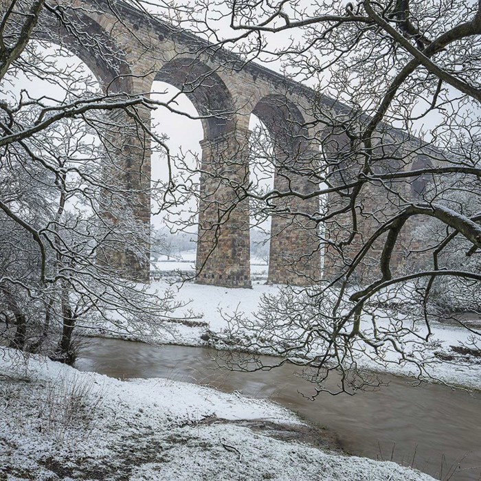Trees frame the Crimple Viaduct on a cold winter day  a tree with snow on the ground