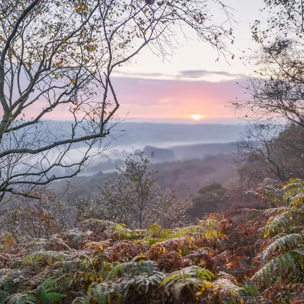 Crisp autumn dawn