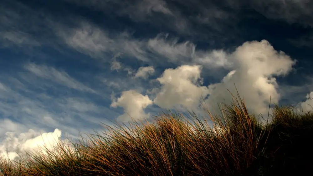 Moorland