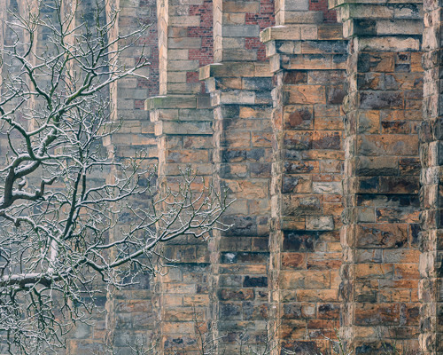 Crimple Valley Viaduct: A Marvel of Engineering and Beauty:  a brick wall with trees
