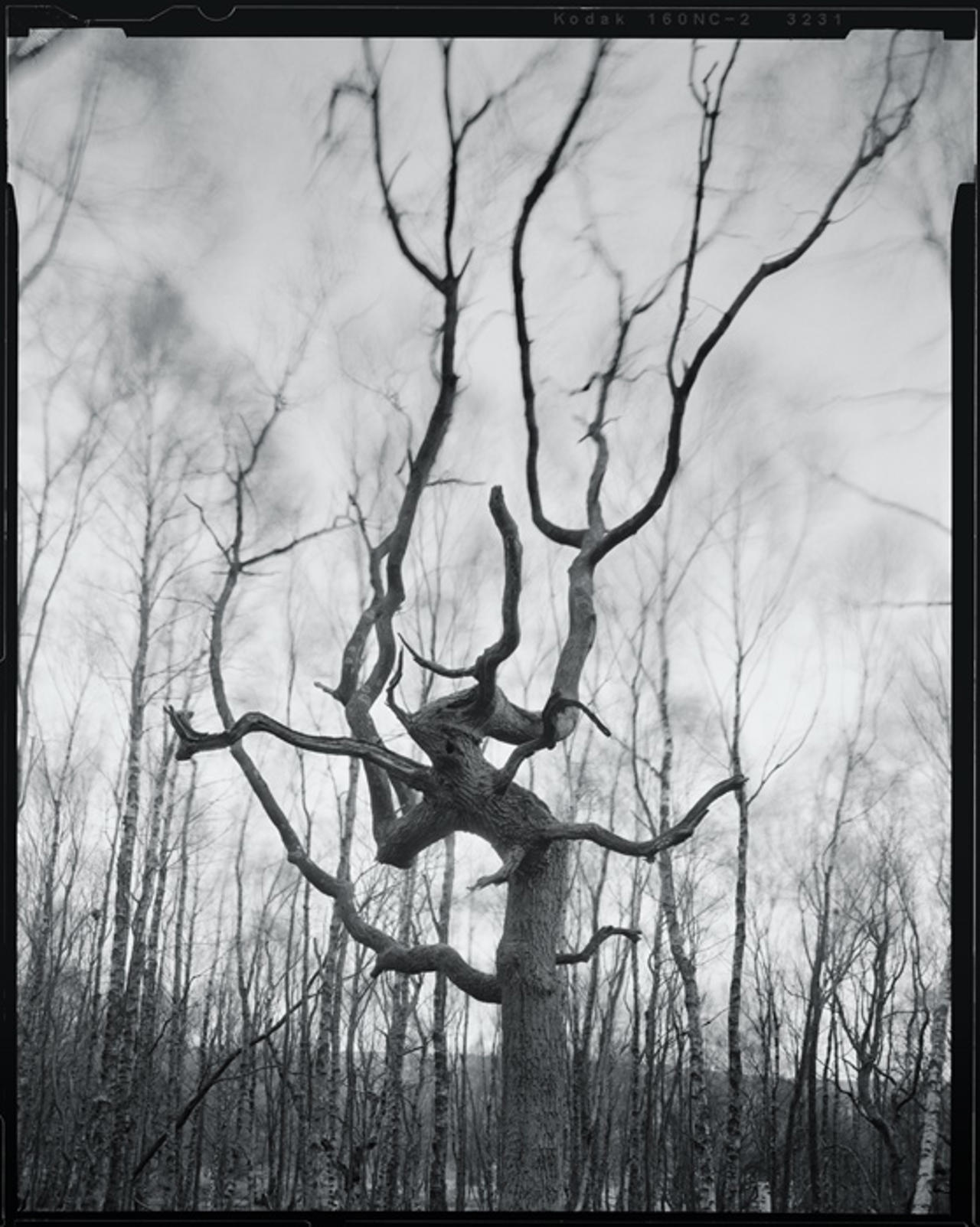 Dead Souls