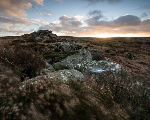 Moorland Landscapes: Outcrop on the North Yorkshire moors at dawn. Large, moss-covered rocks scatter the foreground, leading to a pile of stones atop a gentle rise. Heather, in muted browns and greens, carpets the landscape. The sky, painted with soft oranges and blues, hosts a rising sun casting a peaceful glow over the moorland. a view of a rocky mountain