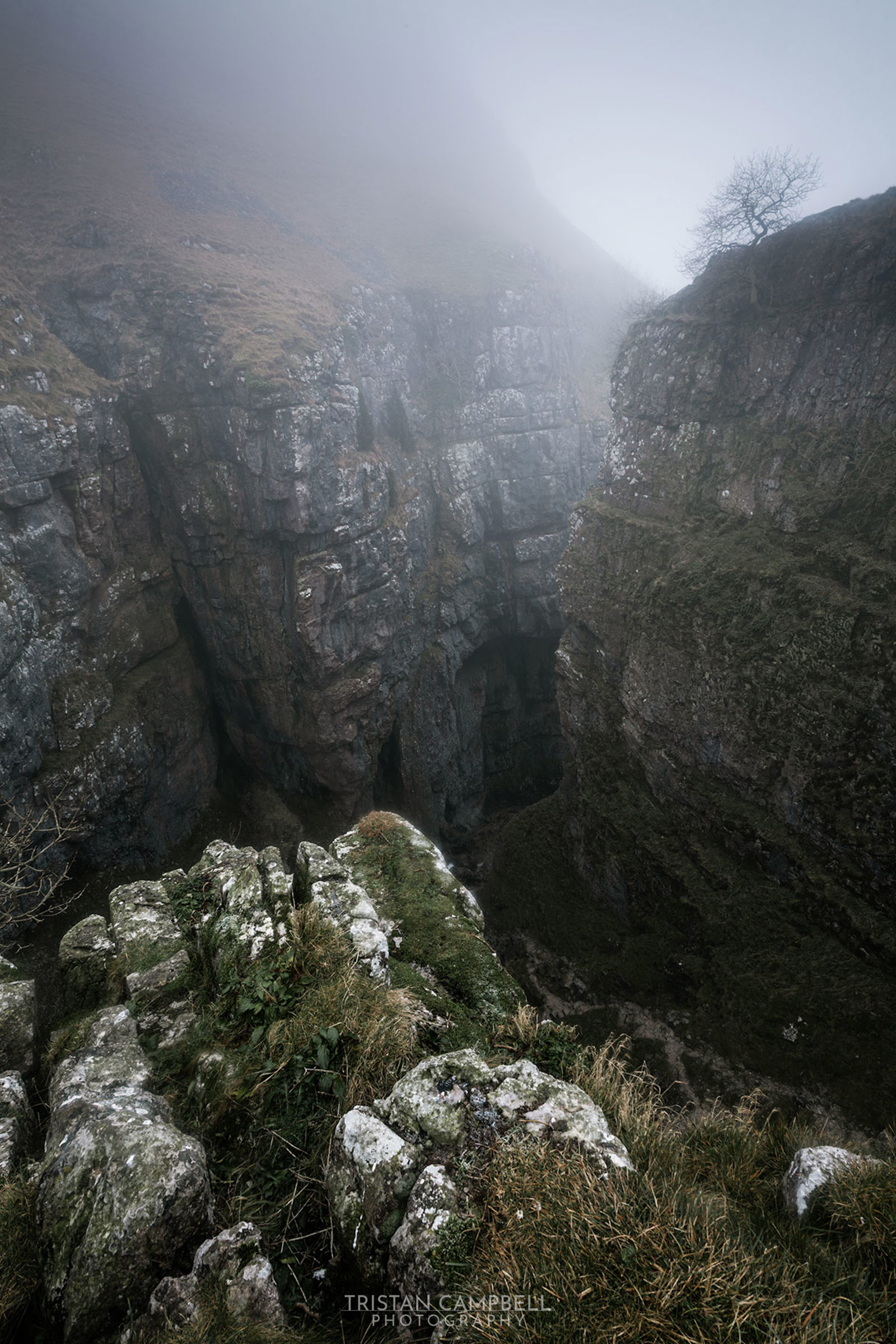 Steep and rugged limestone cliffs shrouded in mist, with a narrow chasm between them. The foreground shows rocky outcrops covered with patches of green grass and moss. A solitary tree clings to the top of the right cliff, silhouetted against the foggy sky.