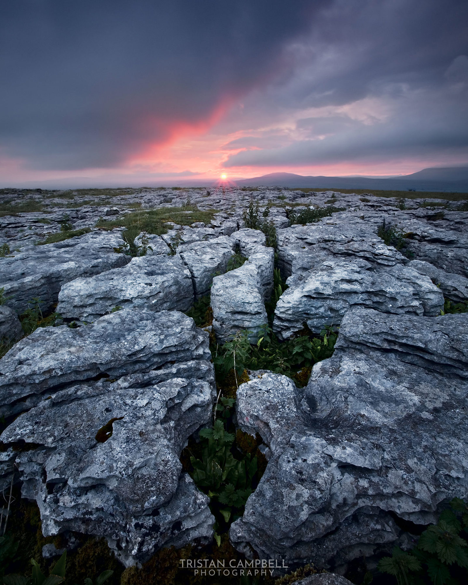 Rugged limestone pavement with deep fissures filled with greenery in the foreground, under a dramatic sky. The sun sets on the horizon, casting a pink and orange glow, with dark clouds forming above. Distant hills are silhouetted against the vibrant sky.