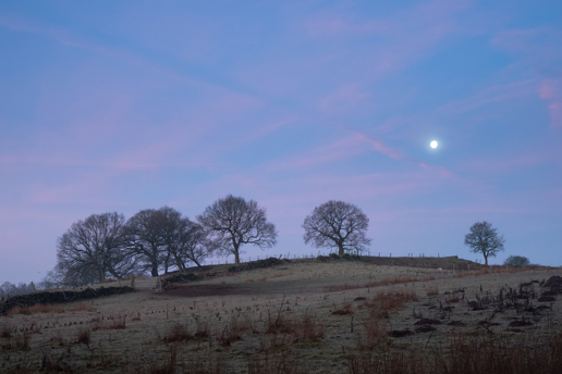 A serene twilight scene near Fewston. A full moon softly glows in a pastel-hued sky with streaks of pink and blue. Below, silhouetted bare trees dot the crest of a gentle hill. A stone wall runs along the hilltop, adding a quaint, rustic touch. The land appears frost-kissed, suggesting a cold, tranquil morning. a field with trees and a moon in the sky