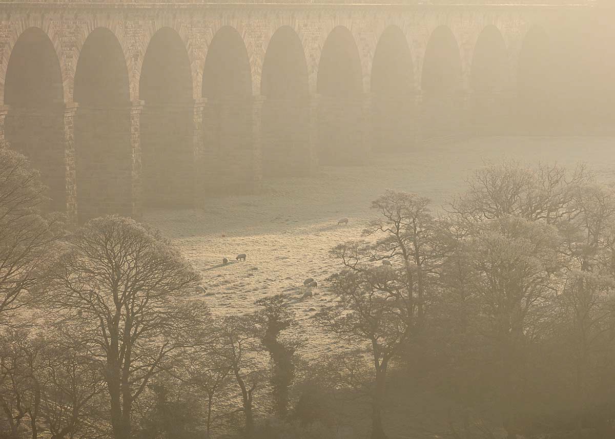 Distant view of the Crimple Viaduct on a cold frosty morning a close up of a bridge