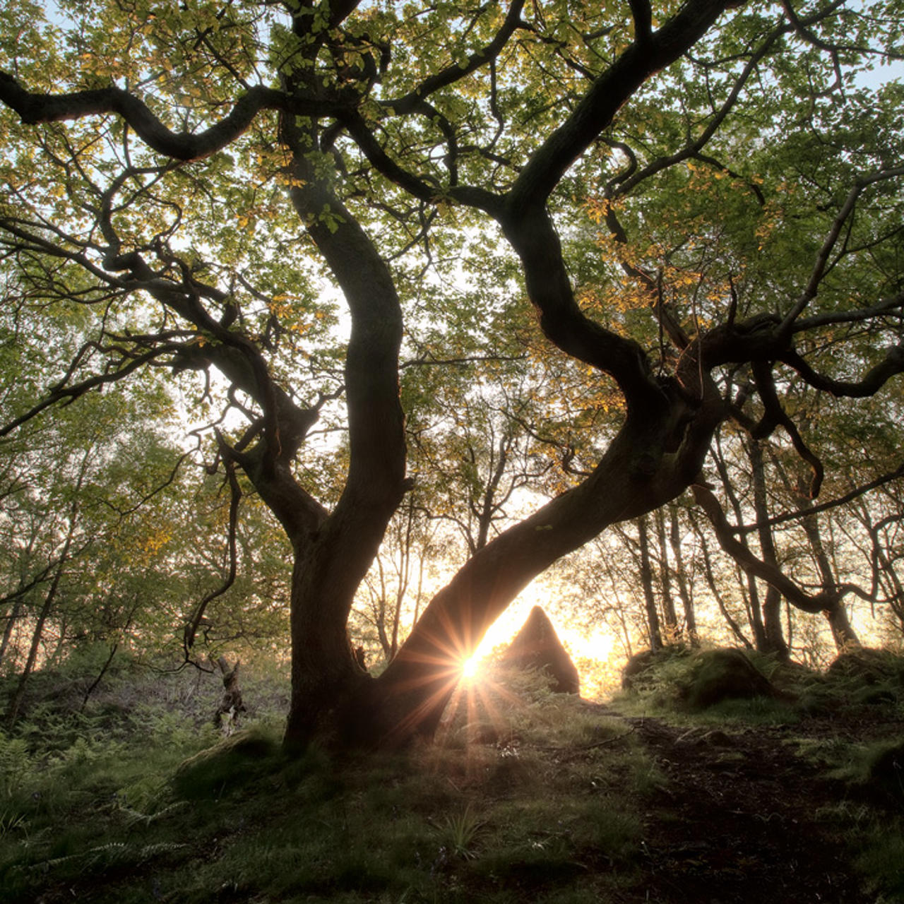 Secret places, private thoughts ...