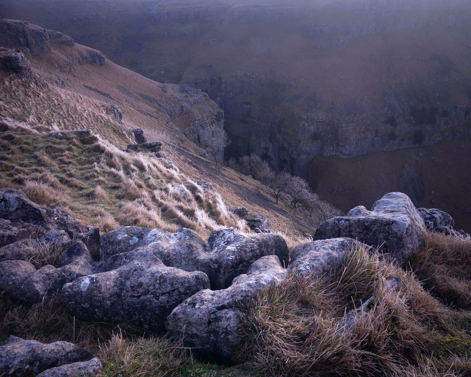 Rugged landscape with foreground rocks and tufts of dry grasses. The scene slopes down to a steep, shadowed cliff face, beyond which muted hills stretch under a hazy sky. Sparse, leafless trees are scattered along the slope, adding to the bleak but dramatic atmosphere.