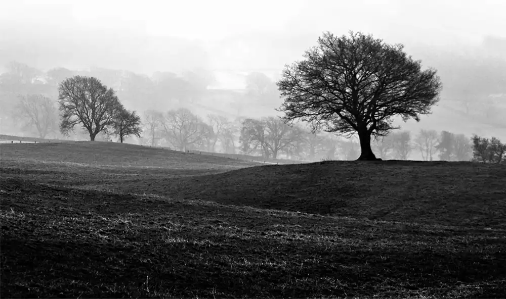 Misty morning, Gouthwaite