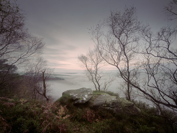Ancient Woodland A tranquil dawn overlooking an ancient woodland; bare, silhouetted trees frame a mist-veiled landscape with a prominent rock formation in the foreground, creating a serene, mystical atmosphere.