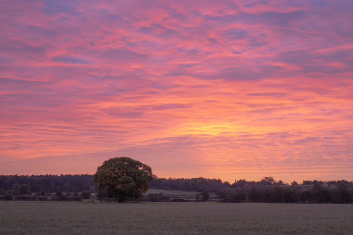 a sunset over a body of water. outdoor sky water cloud tree nature landscape sunrise sunset river lake clouds distance