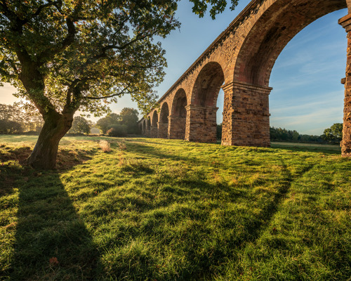 Crimple Valley Viaduct: A Marvel of Engineering and Beauty:  a stone archway over a grassy field