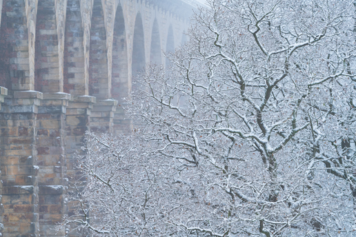 A leafless tree stands foregrounded, its branches dusted with snow, creating a lacy effect against the backdrop of an obscured viaduct, with arches barely visible through a soft mist, imparting a tranquil winter scene. a tree with white blossoms in front of a brick building