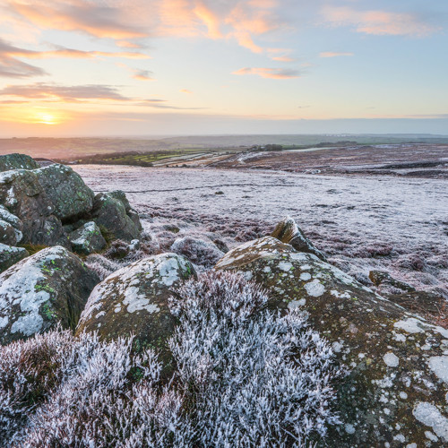 Winter Moorland Dawn: A sunrise graces a frost covered landscape. Rock formations, lichen-speckled, foreground the scene. Vast moorland stretches to the horizon, peppered with shrubs under a pastel sky with far-reaching views.