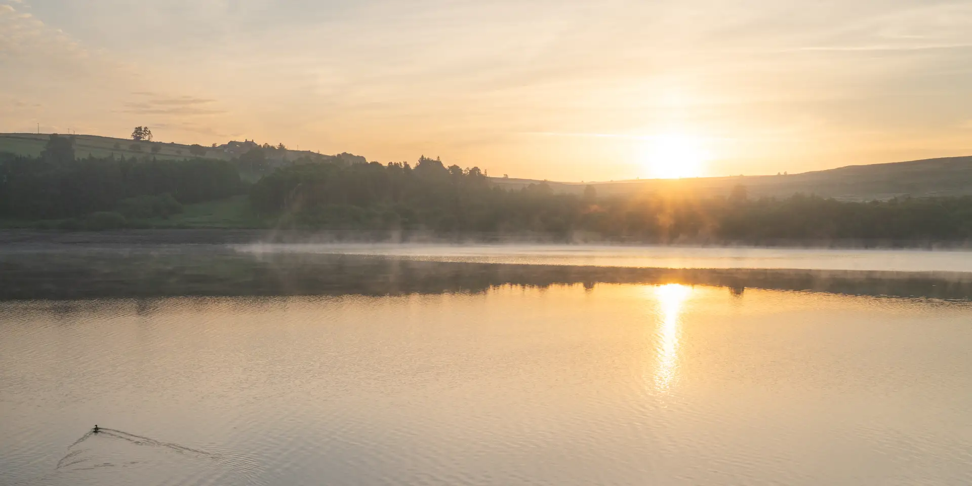 Sunrise over a tranquil lake with a soft mist rising from the water. The sun's warm golden light reflects on the lake's surface. A distant silhouette of rolling hills, scattered trees, and a small building is visible against the sky. A lone duck glides across the water, creating gentle ripples behind it.