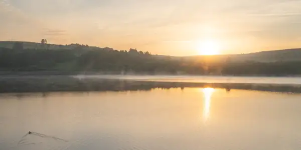 Sunrise over a tranquil lake with a soft mist rising from the water. The sun's warm golden light reflects on the lake's surface. A distant silhouette of rolling hills, scattered trees, and a small building is visible against the sky. A lone duck glides across the water, creating gentle ripples behind it.