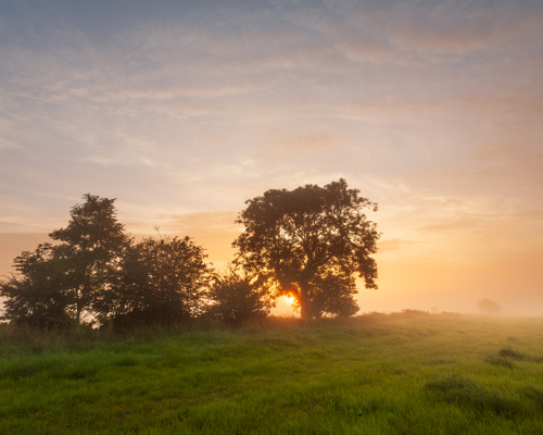 Harrogate Landscapes:  a sunset over a field