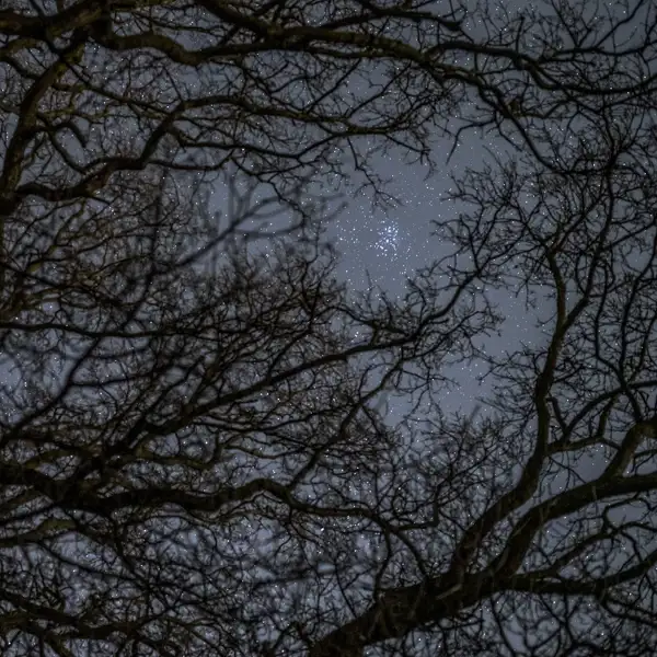 Jewels in the sky