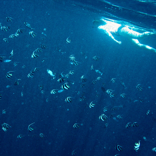 Angeline snorkling (1): Angeline snorkling