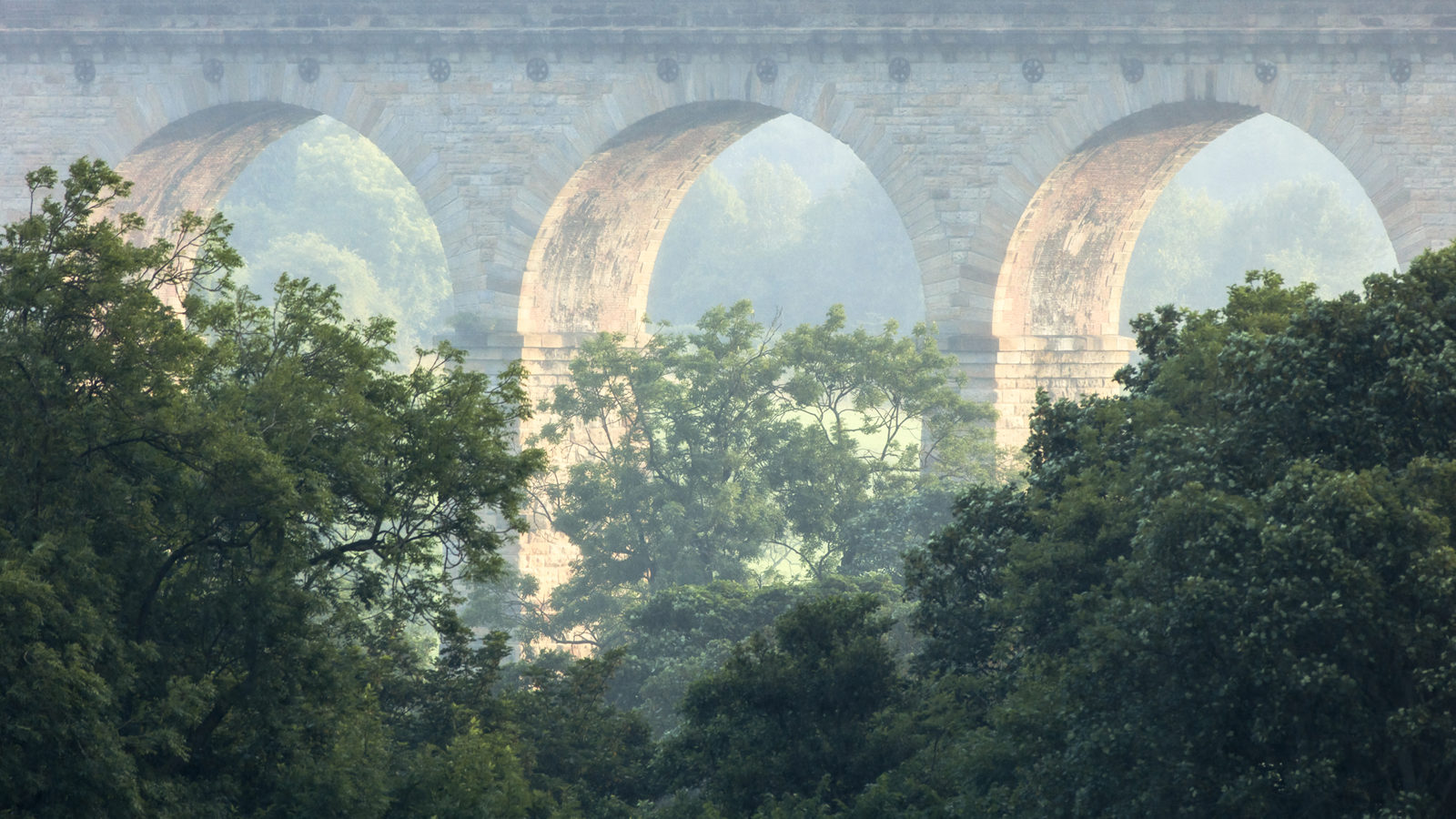 The distant Crimple Viaduct through trees