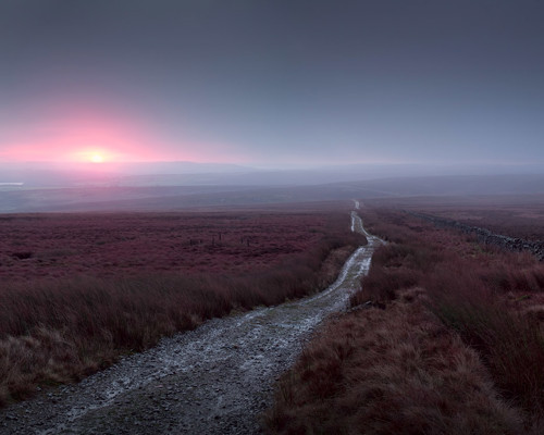 Moorland Landscapes: A gravel path snakes across the moorland, fenced on one side, amidst expansive heather. The horizon blushes with a strip of warm pink and orange hues from the setting sun, contrasting the cool purples and blues of the dusky sky and earth. Mist lingers, adding a tranquil, ethereal quality to the landscape. a close up of a dry grass field