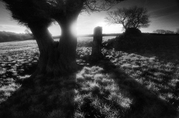 Secret places