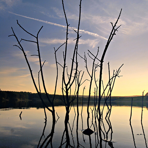 Sunset, Thruscross Reservoir (1): Sunset, Thruscross Reservoir