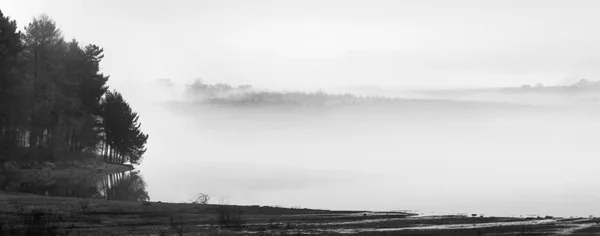 Fewston 4