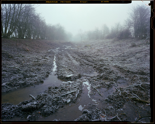 Edge Land:  a view of a body of water