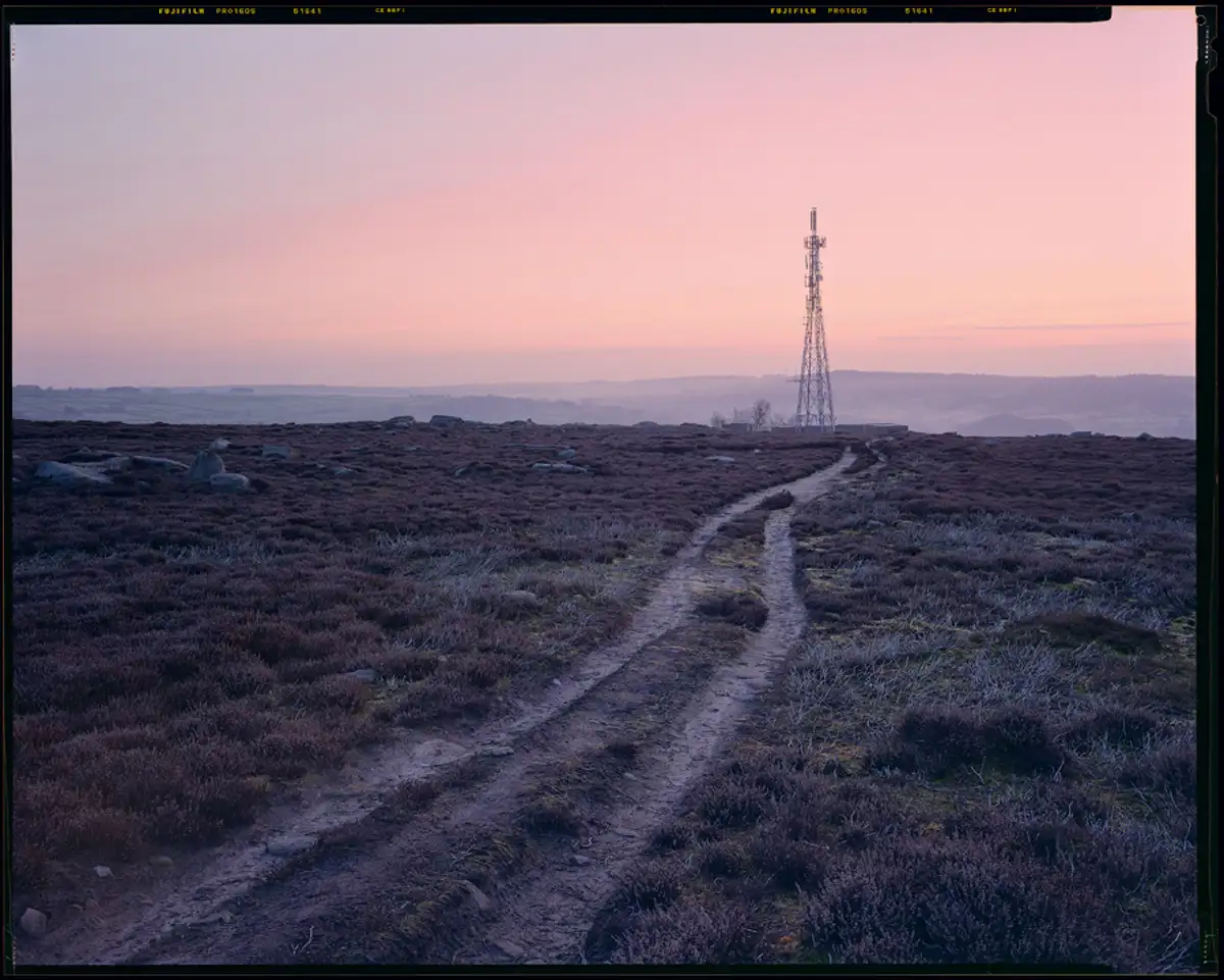 Perceptual Response (take two)