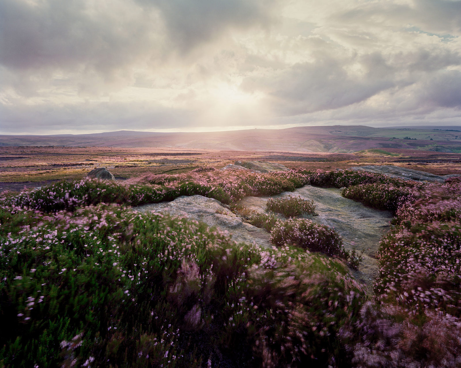 Heather-covered moorland landscape with rolling hills under a dramatic, cloudy sky. The sun peeks through the clouds, casting a gentle light on the terrain. Foreground rocks are surrounded by blooming heather in shades of purple and pink, adding texture and colour to the scene.