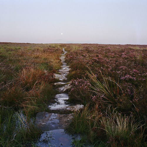 Moorland Landscape Photography