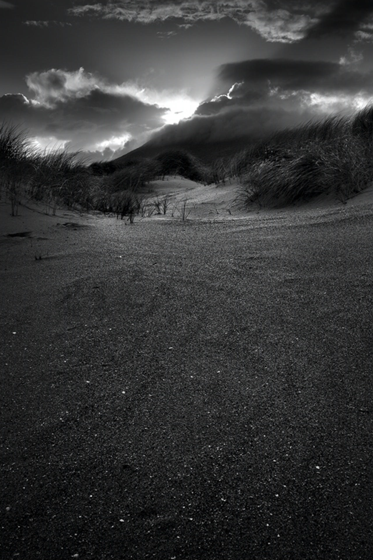 Untitled Dunescape 1