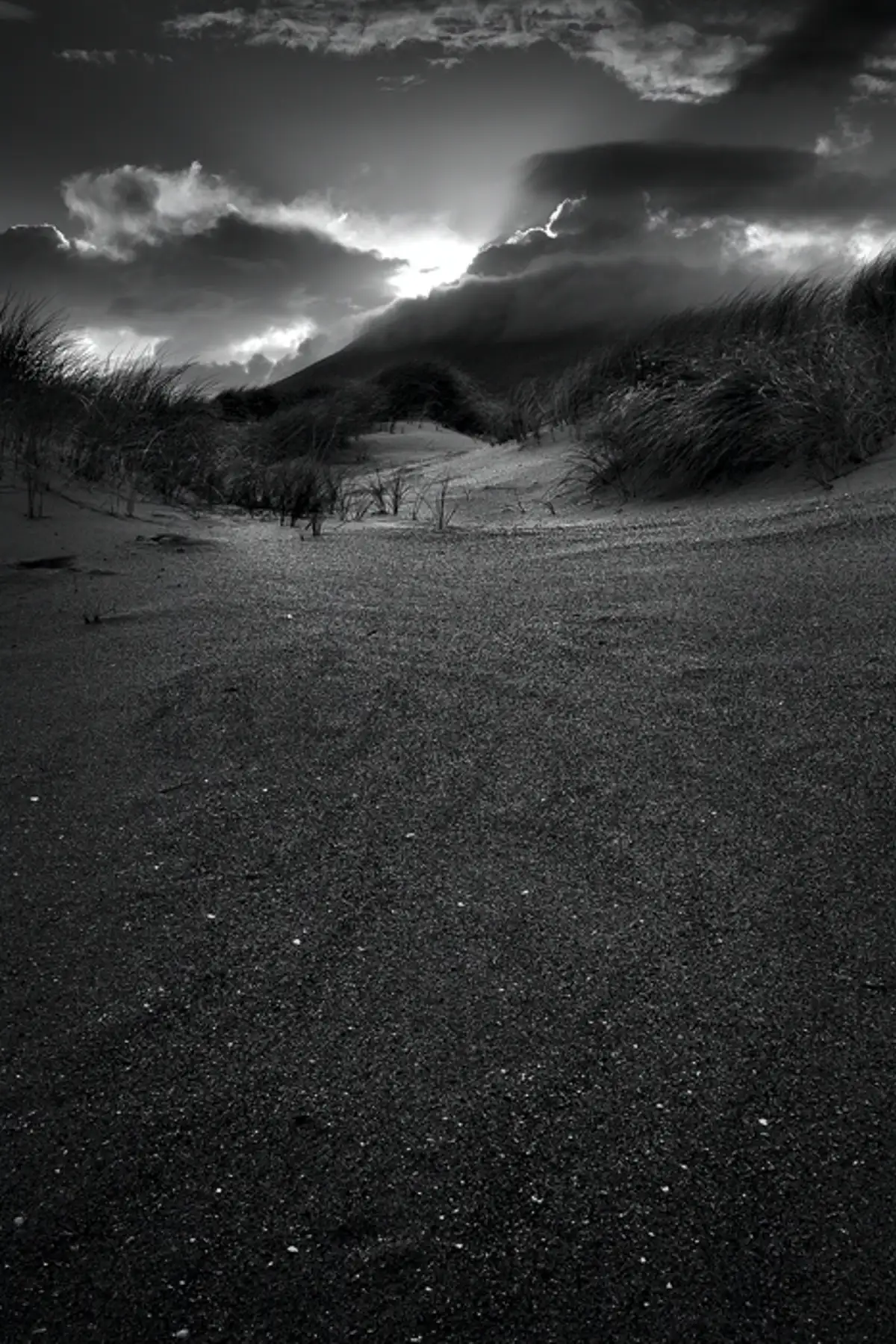 Untitled Dunescape 1